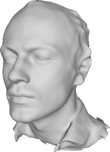 a 3D scan of my head